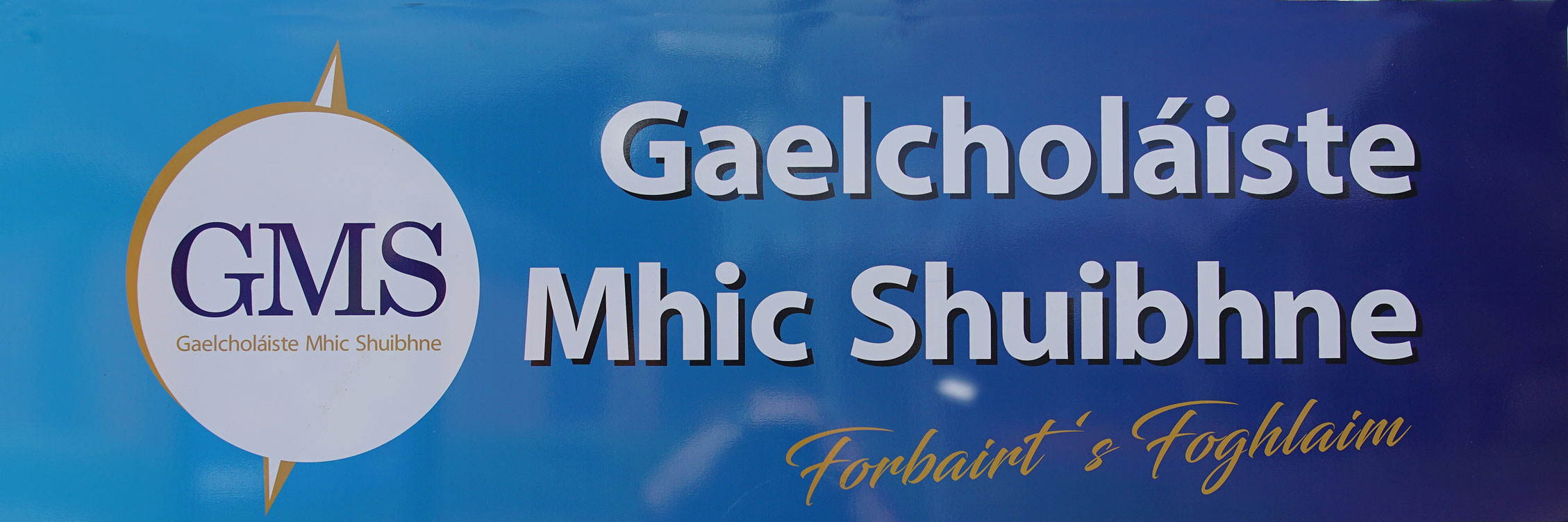Gaelcholáiste Mhic Shuibhne